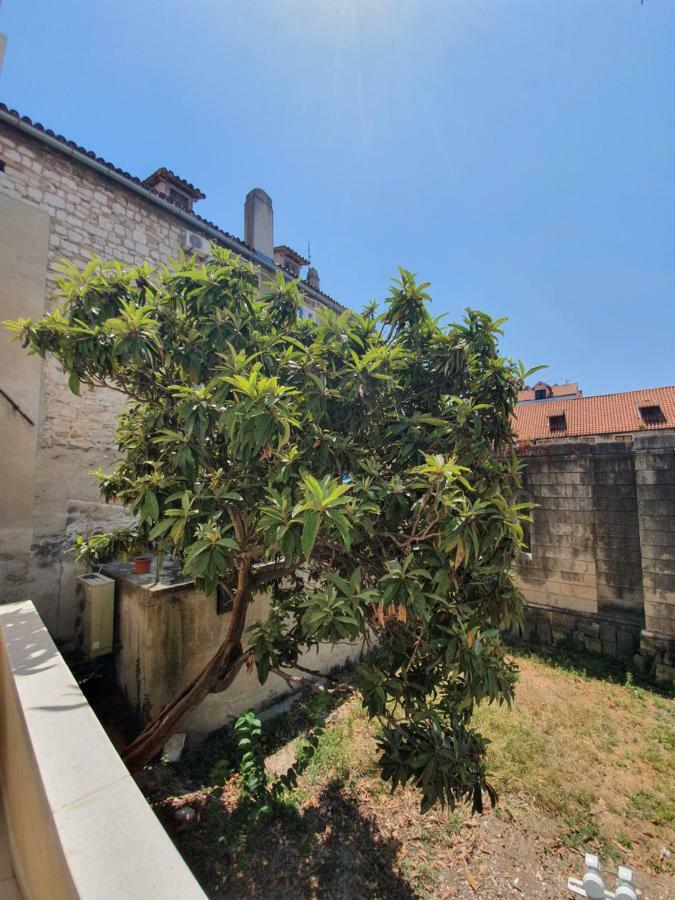 Bed & Breakfast The At Central Split